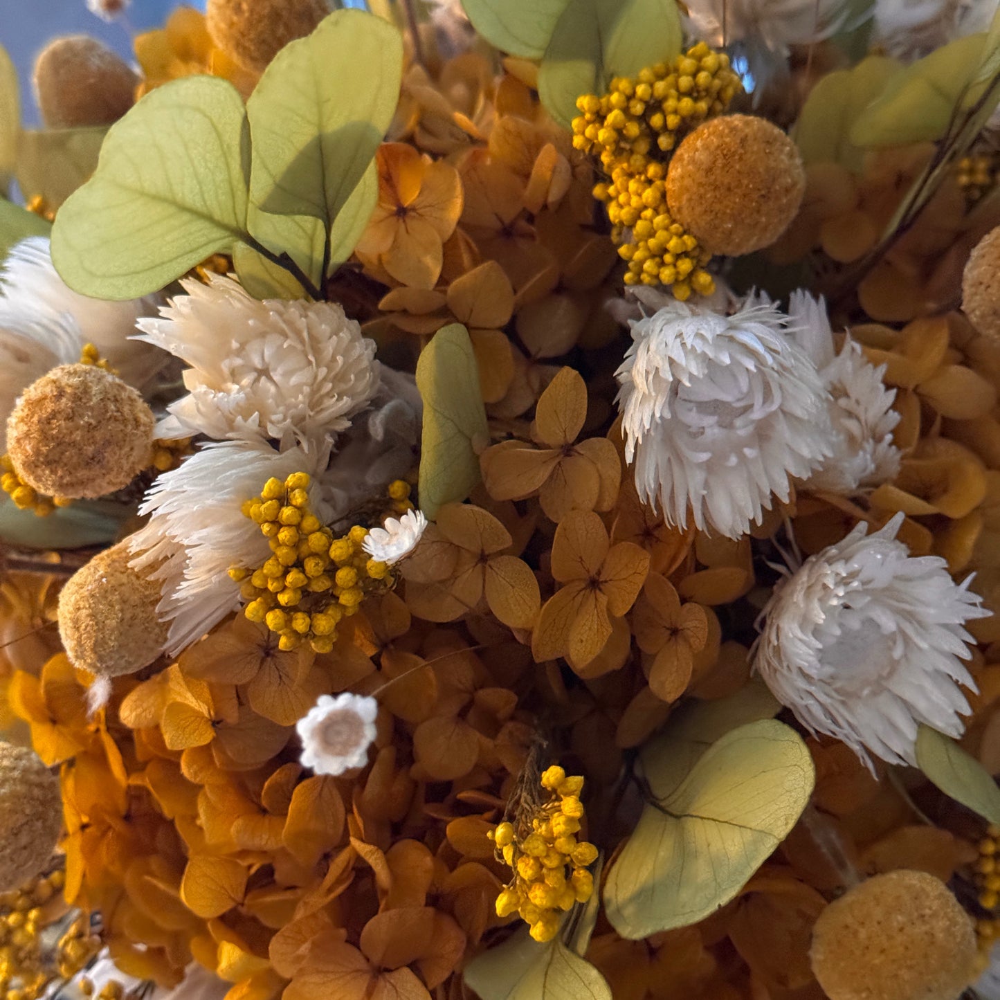 Honey Fields - Preserved Flower Arrangement